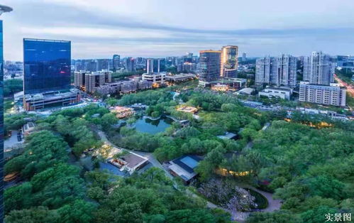 丽都悦府 东四环边涉外区 轻奢观景房 户型鉴赏